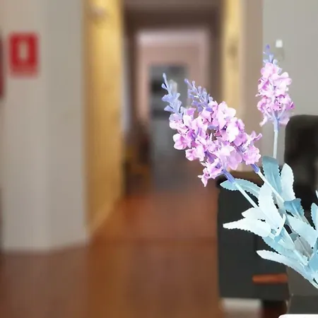 Gran Centro Histórico Apartamento *